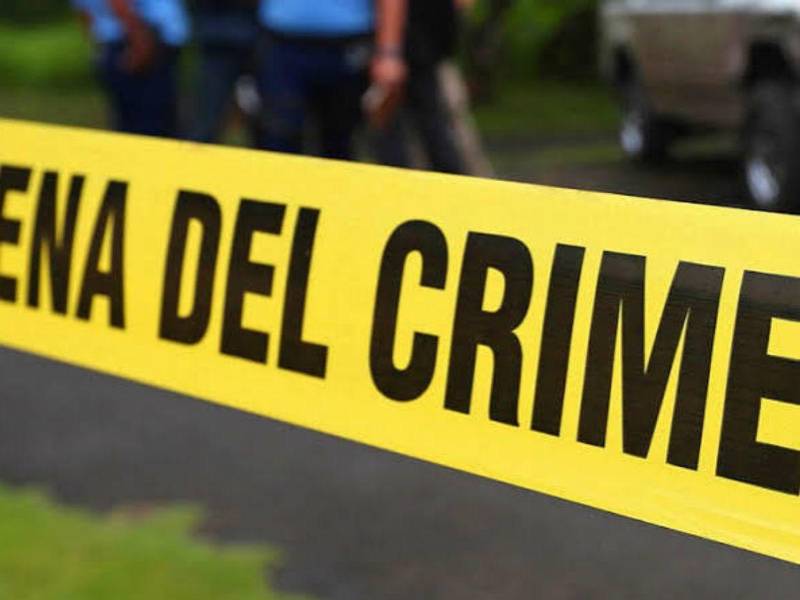 Lo que comenzó como una investigación por la muerte violenta de una mujer de 80 años terminó con una declaración de culpabilidad que cerró una de las etapas más complejas del caso.