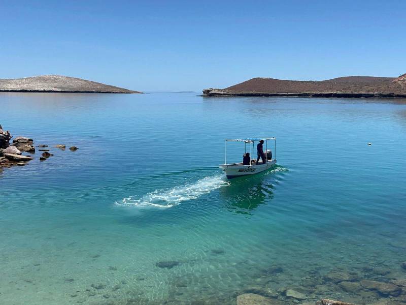 Fotografía de archivo donde se observa a ambientalistas en el Golfo de México. EFE/ Enric Sitjà Rusiñol