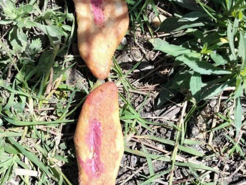 Tres niños de 6, 8 y 10 años murieron, tras comer un pan presuntamente envenenado para perros.