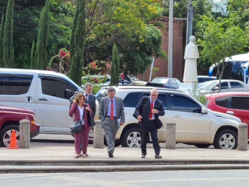 “Nuestra misión es apoyar el proceso que se está desarrollando en Honduras”, dijo Jaime Arellano, que forma parte de la misión de observación.