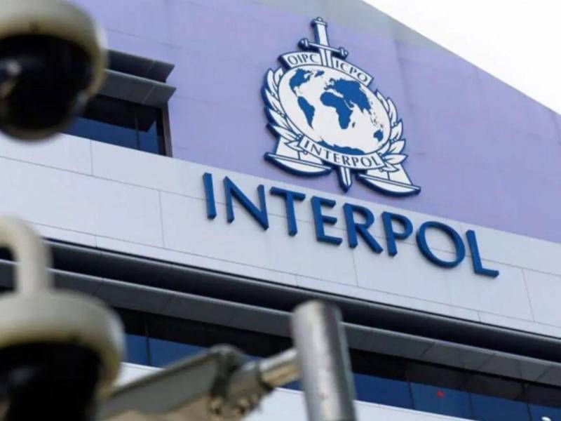 El operativo fue coordinado por Interpol en nueve oaíses de Latinoamércia.