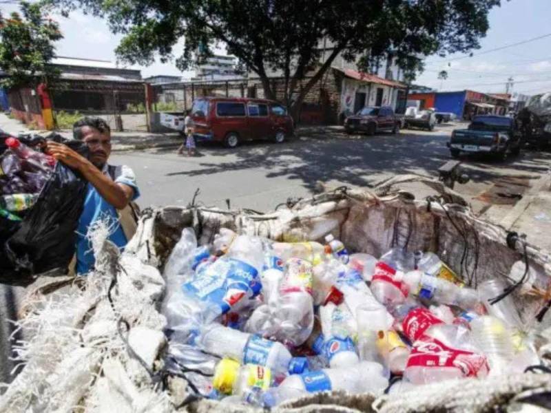 La baja demanda y el poco uso de material reciclado en las botellas han provocado una caída cercana al 50% en el precio del plástico reciclado en el mercado nacional.