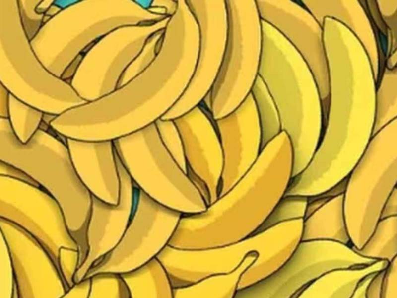 Test visual: descubre si puedes encontrar a la serpiente