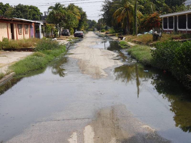 Una de las calles de la colonia Céleo Gonzales inundada de aguas negras y residuales. Todos los días es la misma historia.