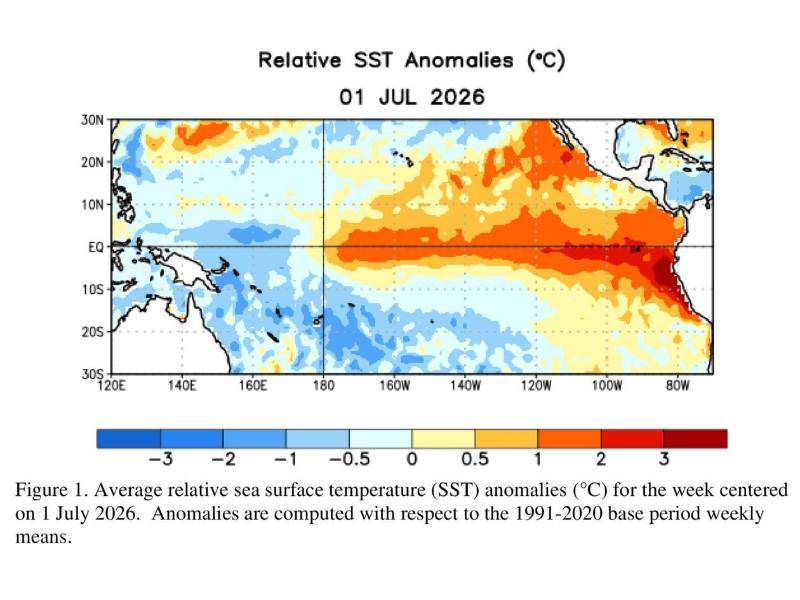 Las aguas del Pacífico ecuatorial registraban el 1 de julio de 2026 temperaturas de hasta tres grados Celsius por encima del promedio, una anomalía que evidencia el fortalecimiento del fenómeno de El Niño.