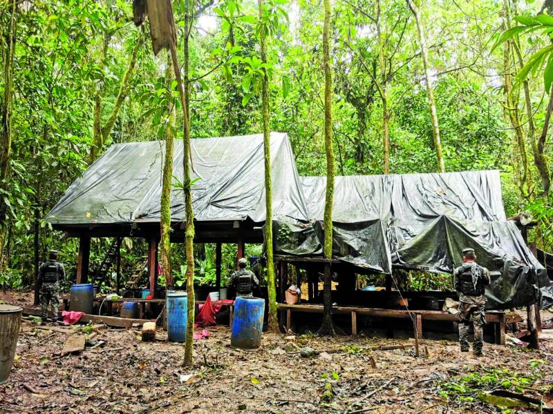 Los pueblos indígenas se quedan sin bosques: Si no venden las tierras, les ofrecen las balas.
