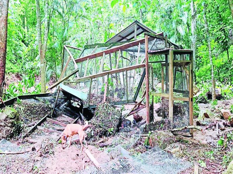 Los daños en el parque de aves son inmensos. El desborde de la quebrada arrasó con los aviarios y dejó muertas a varias de las emblemáticas aves.