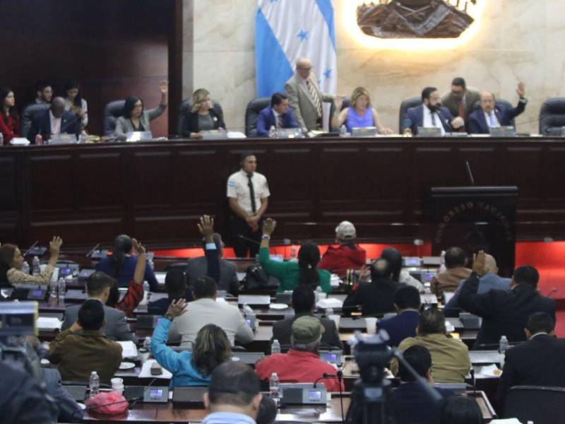 El Congreso Nacional no es un poder del Estado exclusivo para gente mayor, pues los jóvenes también pueden aspirar por una diputación.