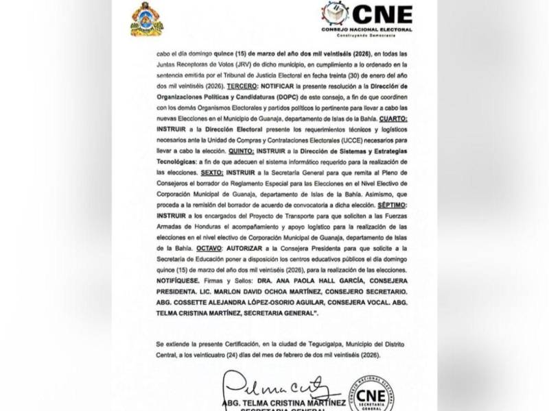 Documento oficial del Consejo Nacional Electoral (CNE).