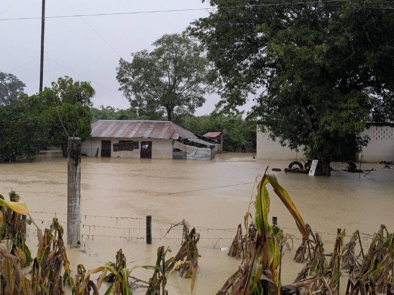 Las lluvias en varios estados de México dejan más de 60 muertos y decenas de desaparecidos.