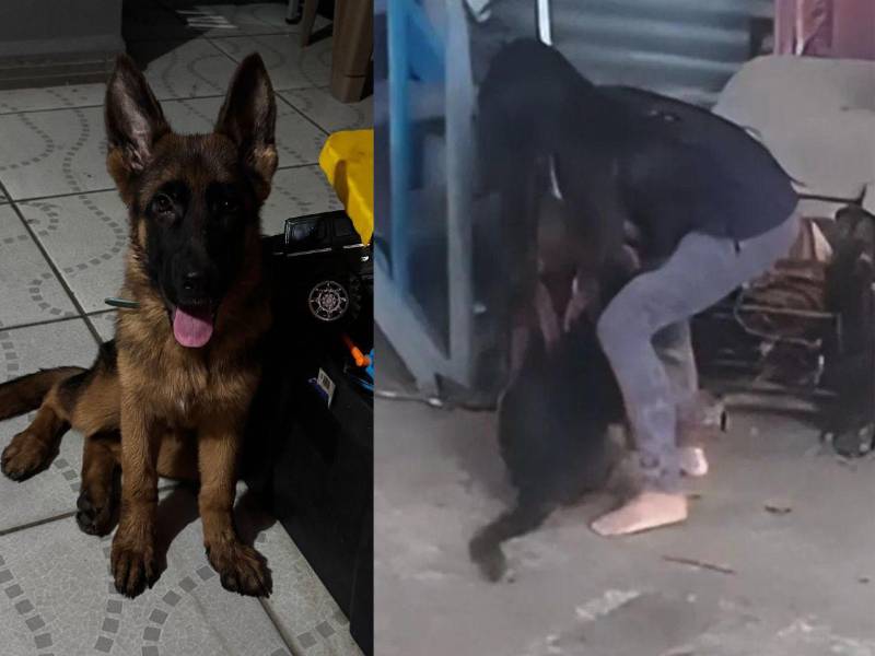 A la derecha, Zoe con su cachorrita Akira.