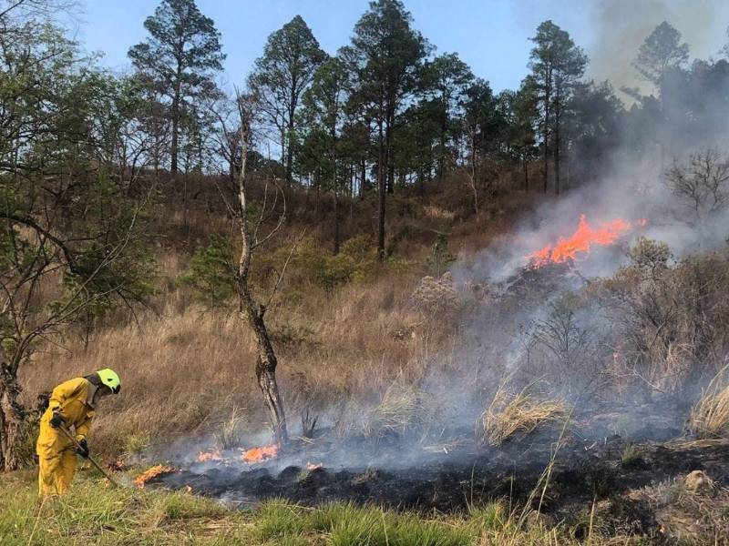 Los incendios forestales han dejado miles de hectáreas dañadas en Honduras durante la temporada seca de 2026.