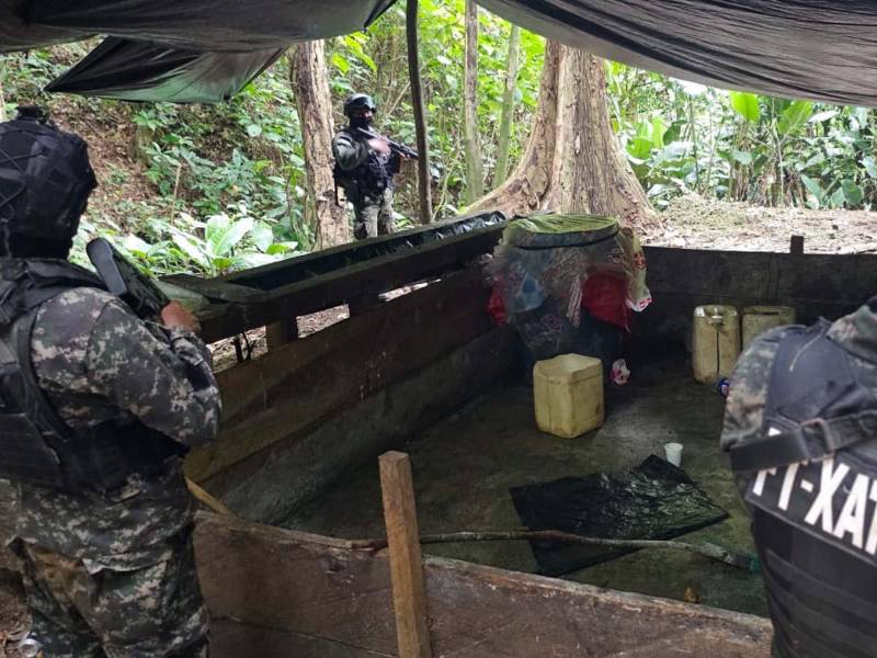 Las Fuerzas Armadas de Honduras, a través de la Fuerza de Tarea Conjunta Xatruch, localizaron y aseguraron más de 44,000 arbustos de hoja de coca en una extensión de ocho manzanas de tierra en la comunidad de El Salado Arriba, Plan de Flores, Limón, Colón, como parte de operaciones contra el narcotráfico realizadas a inicios de octubre.