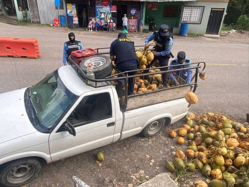 Los policías, durante un retén carretero, pararon el automotor y comenzaron a revisarlo.