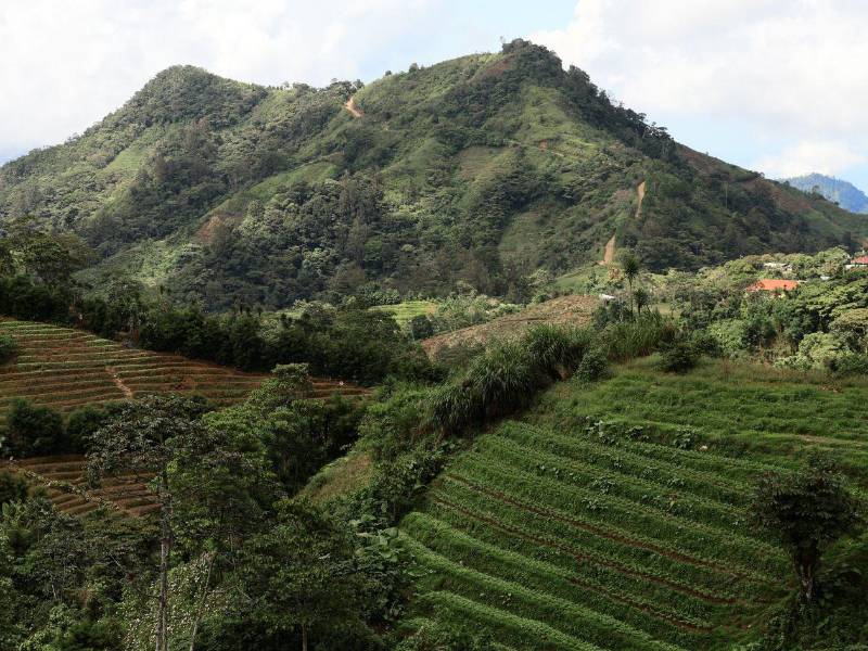 Durante el recorrido por la cordillera de El Merendón, los agentes fueron acompañados por el comisionado de Policía Eduardo Enrique Lanza Lozano jefe de la Jefatura Regional N. 2 del Valle de Sula​​​