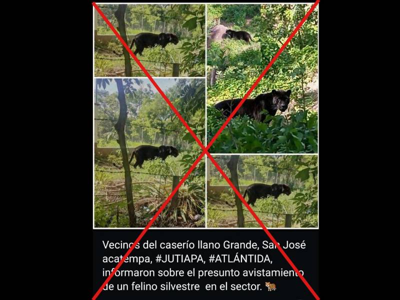 Captura de pantalla a una publicación de WhatsApp hecha el 11 de julio de 2026.