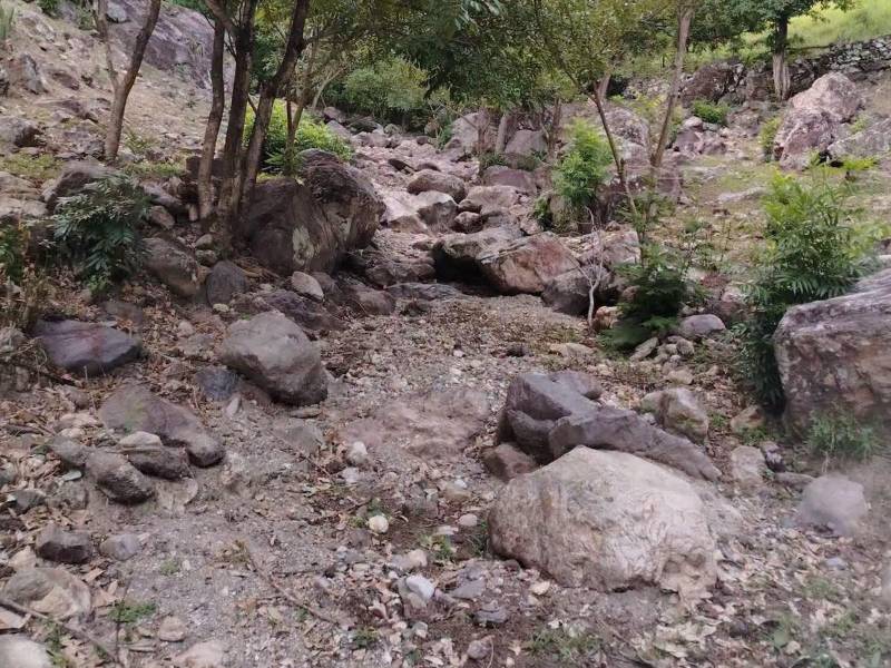 La sequía ha provocado pérdidas de cultivos y afectado el acceso al agua en comunidades del Corredor Seco de Honduras.