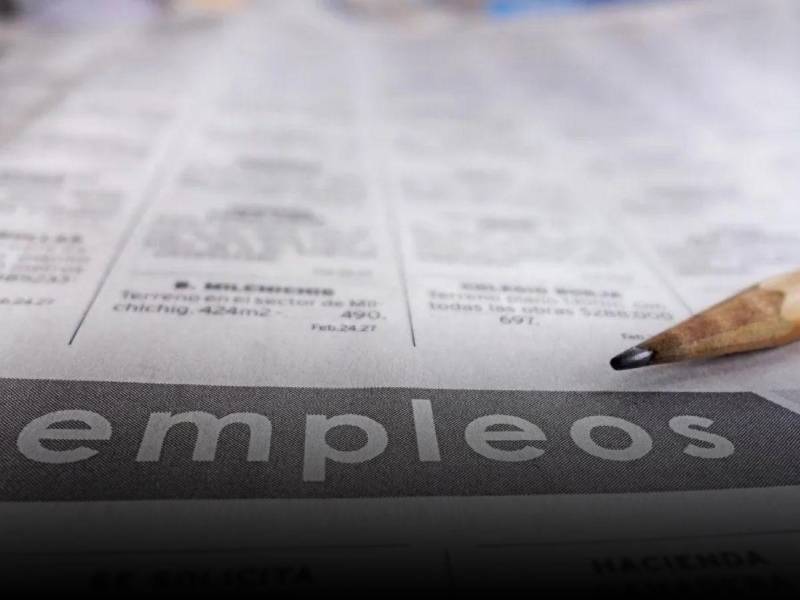 Diversas empresas de la zona norte de Honduras (San Pedro Sula, Choloma, Villanueva, La Lima y alrededores) han abierto vacantes en varios rubros para aquellos hondureños que buscan una oportunidad de empleo.