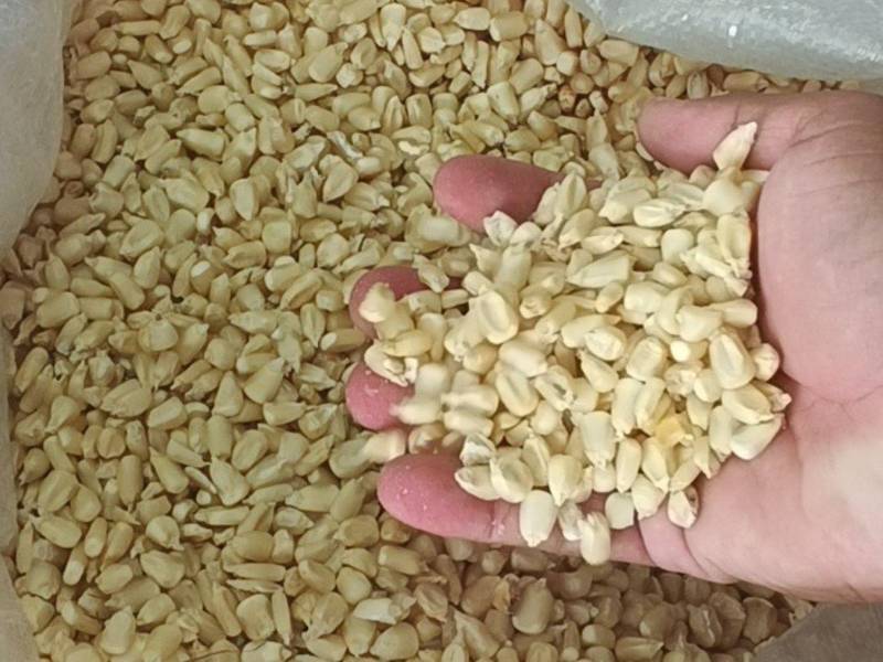 Una carga de maíz blanco en el mercado Medina Concepción de San Pedro Sula tiene un precio que oscila entre L1,140. y L1,160.