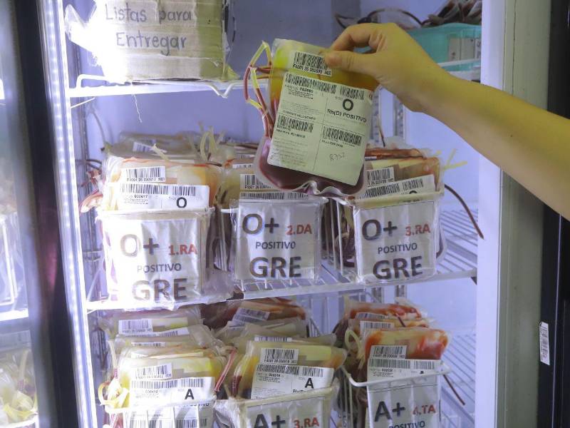 Personal del hospital Mario Rivas explica el proceso de conservación de las muestras en el banco de sangre.