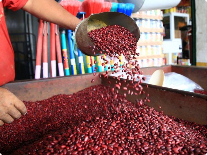 La producción de frijoles en Honduras es de dos millones de quintales al año, sin embargo, eso no logra cubrir la demanda total y se importa el faltante de Nicaragua.