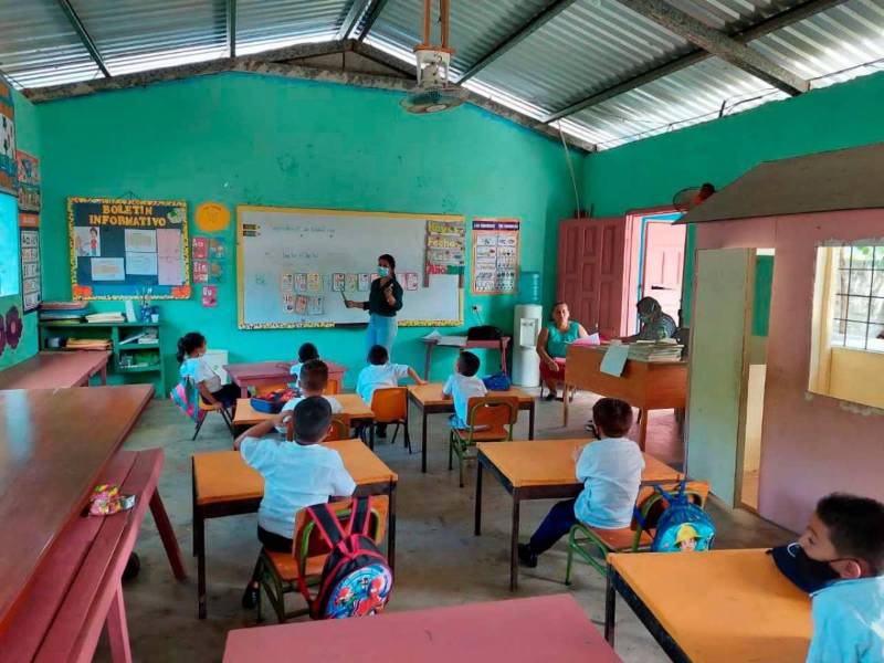 Maestros Proheco durante una protesta.