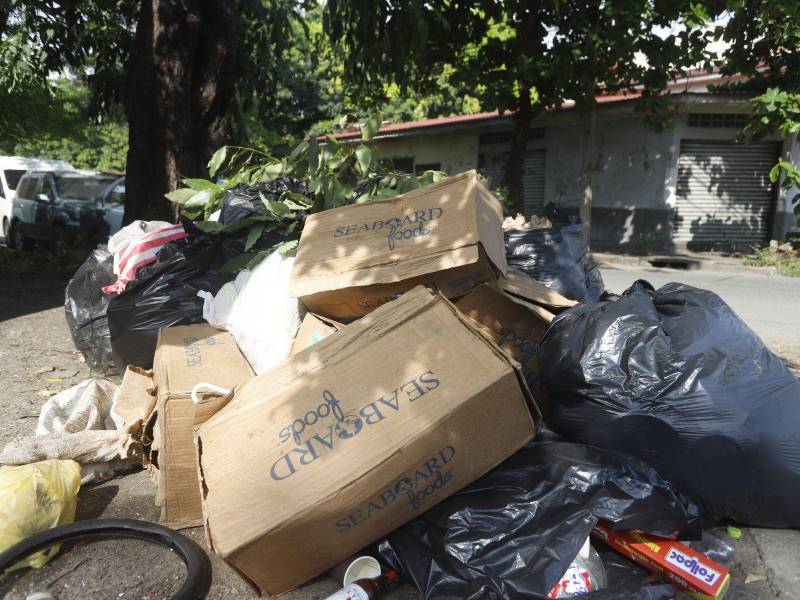Los promontorios de basura están por toda la ciudad y los sampedranos claman a las autoridades porque mejoren el sistema de recolección en la ciudad.