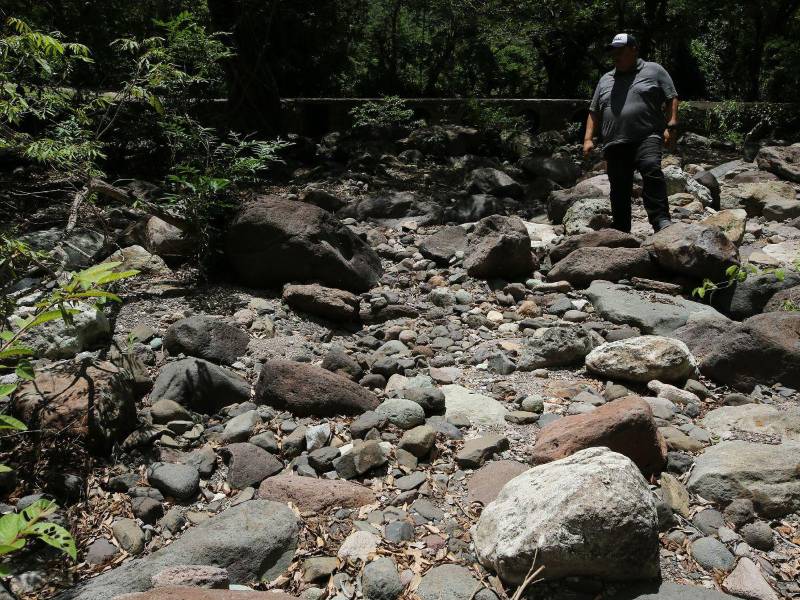 Muchos campesinos no sembraron por temor a perder sus semillas.