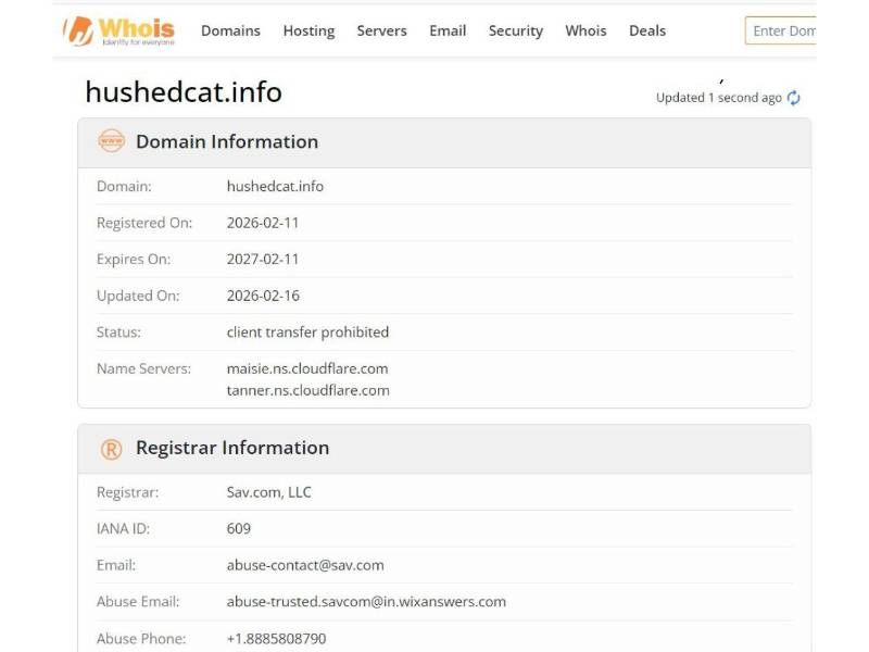 Captura de pantalla al resultado del análisis del dominio en la herramienta Whois.