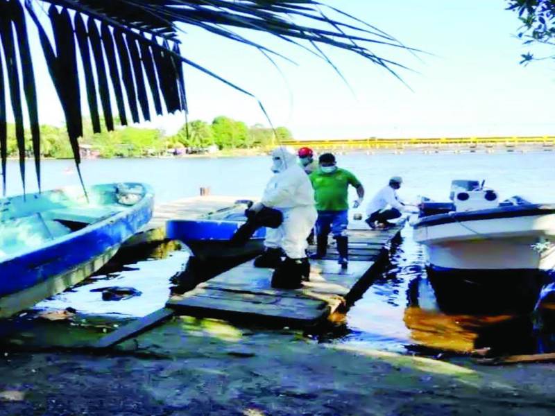 Se ha detectado foco de infección de infección de <b>influenza aviar</b> H5N1 en el municipio de <b>Puerto Cortés.</b>