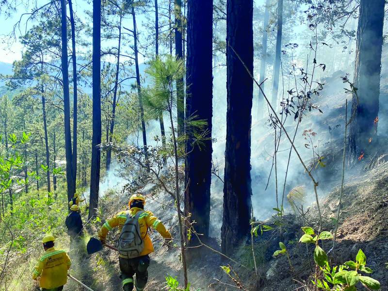 <b>El Gobierno ya mantiene cuadrillas para evitar que los incendios forestales afecten las cuencas de agua.</b>