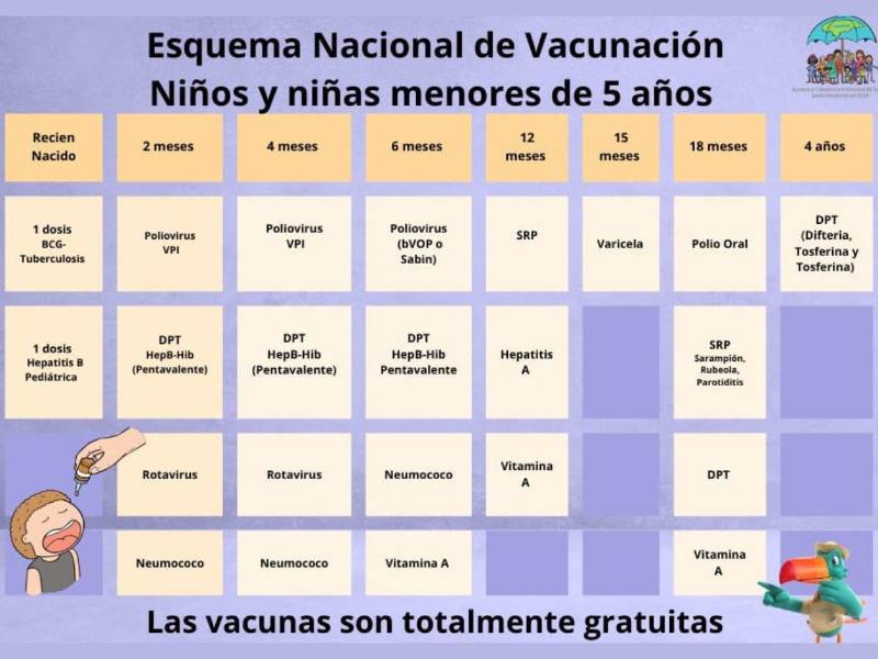El esquema de vacunación de Honduras contempla unas 24 vacunas de manera obligatoria.