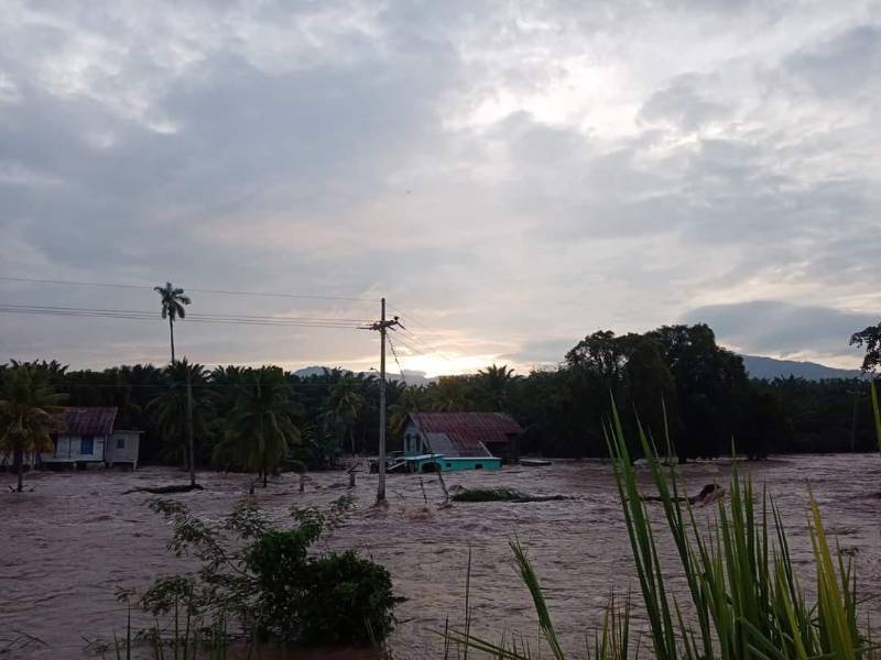 Las intensas lluvias registradas en los últimos días han provocado la crecida del río Ulúa, el mayor afluente que atraviesa el valle Sula.