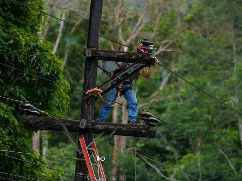 La Empresa Nacional de Energía Eléctrica (Enee) realizará este viernes 25 de septiembre trabajos de mantenimiento y revisión de líneas en circuitos de Comayagua, Distrito Central, San Pedro Sula y municipios de Atlántida, con interrupciones programadas entre las 6:00 am. y las 6:00 pm.