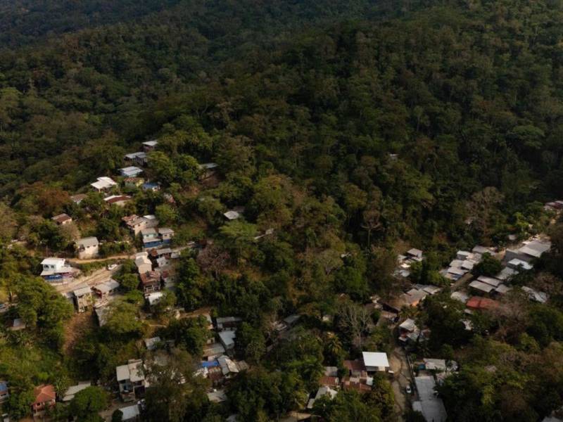 La Municipalidad de San Pedro Sula ha reforestado, según su informe, 1,297 hectáreas con la siembra de 244, 356 plantas, pero otros sectores exigen mas supervisión con respecto a las construcciones e invasiones.