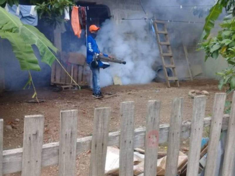 La municipalidad y la Región de Salud trabajan activamente en jornadas de fumigación en puntos claves de la ciudad.