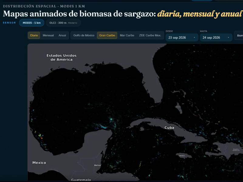 <b>Para poder ver el sitio </b>con imágenes satelitales dé clic a continuación: <a rel=nofollow href=https://simar.conabio.gob.mx/satsum/?utm_source=chatgpt.com>SIMAR</a>