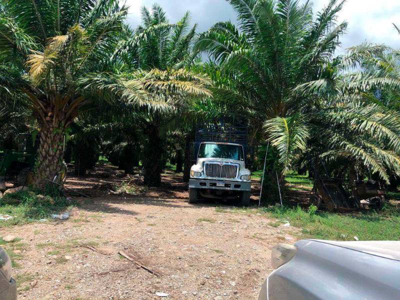 Predios. Las investigaciones establecen que titularon 66 millones de varas cuadradas en la zona núcleo del Parque Nacional.