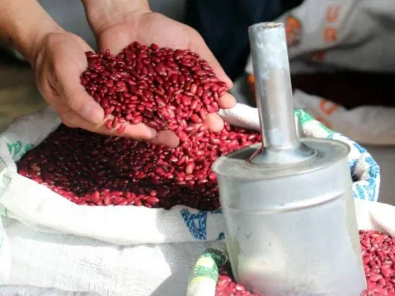 IHMA pierde 44 mil quintales de frijol y L85 millones.