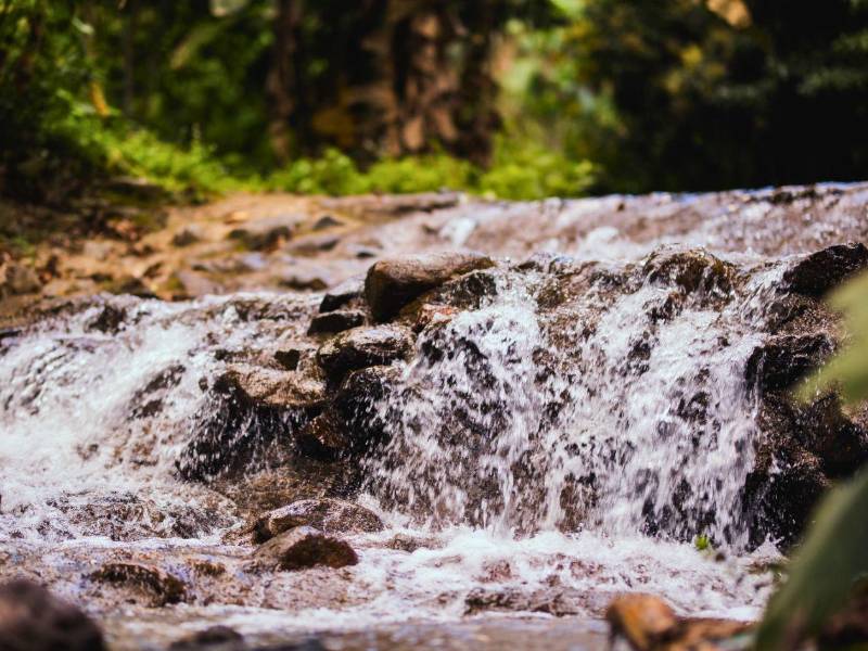 La protección de fuentes de agua es una de las acciones del programa Merendón: Patrimonio de Agua y Vida.