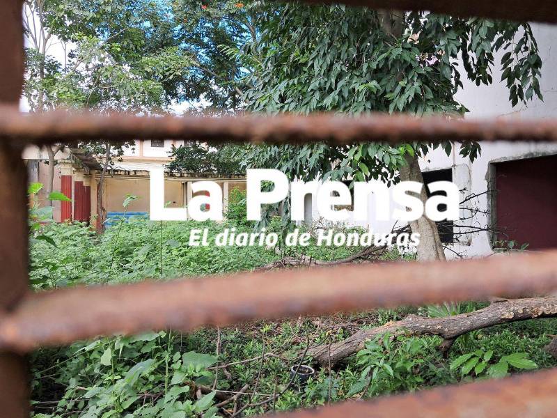 Fotos del interior de la casa de Los Olanchanos en la colonia Sandoval Sorto.