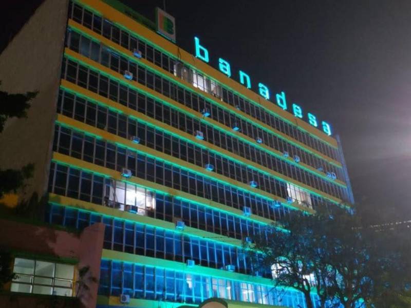 Vista de las instalaciones del Banco Nacional de Desarrollo Agrícola (Banadesa) en Tegucigalpa.