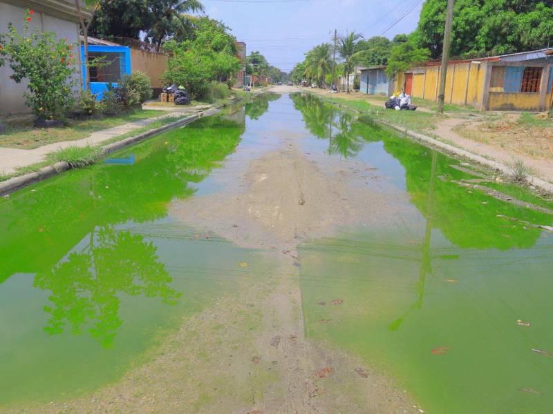 Una de las calles de la colonia inundada por las aguas residuales, el mal olor y la contaminación es insportable.