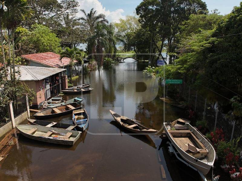 En Los Naranjos, por el sector de El Jaral, el agua ha avanzado hasta inundar los patios de viviendas ubicadas aproximadamente a 2.5 kilómetros del Lago de Yojoa. El acceso permanece cerrado debido al aumento del nivel del agua en las últimas dos semanas.