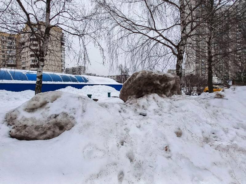Las autoridades de Moscú decretaron este lunes 'alerta amarilla' ante la intensa nevada pronosticada por los meteorólogos para la jornada del lunes, y llamaron a la población a extremar las medidas de precaución.
