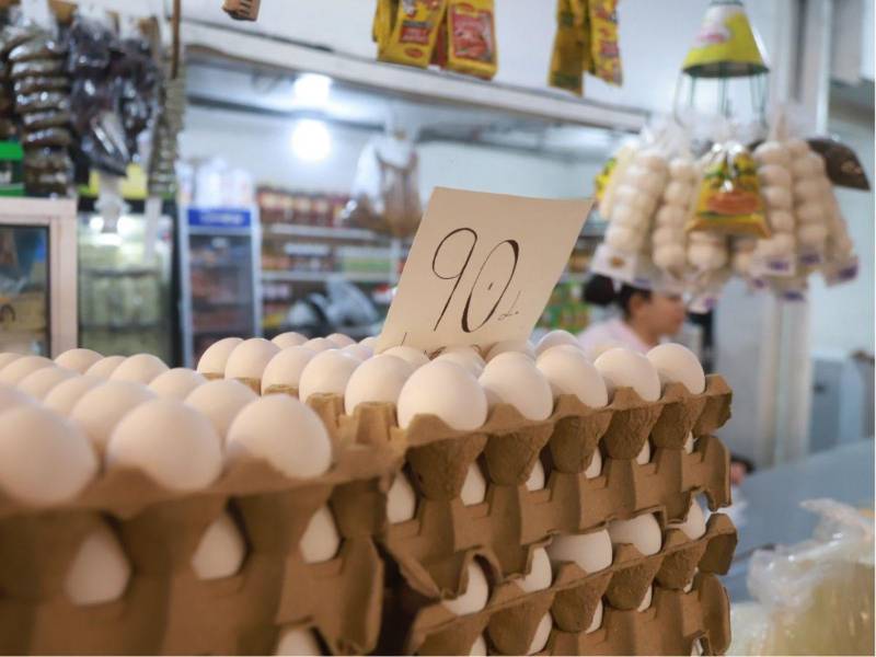 Autoridades garantizan abastecimiento de huevo y carne de pollo pese a brote de influenza aviar.