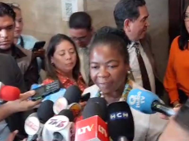 La diputada, Johana Bermúdez.