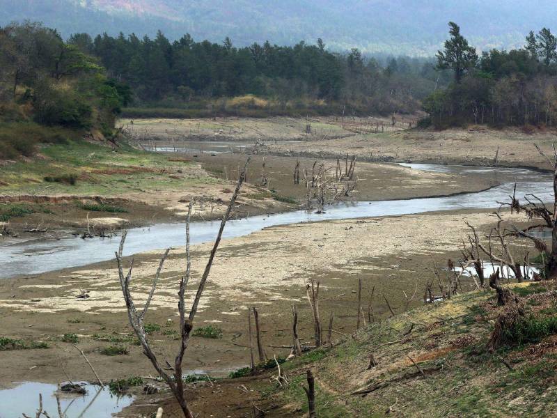 Los ríos Guayape y Guayambre se están quedando secos no solo a causa de factores climáticos, sino también por la tala y quema del bosque.