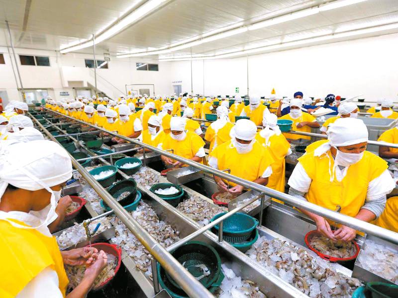 <b><span class=mln_uppercase_mln>ventas.</span></b> Corea del Sur sería el cuarto mercado para Honduras.