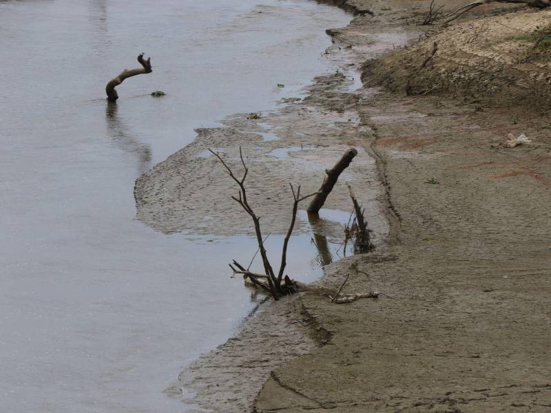 El déficit de precipitaciones podría tener consecuencias directas en la producción agrícola.
